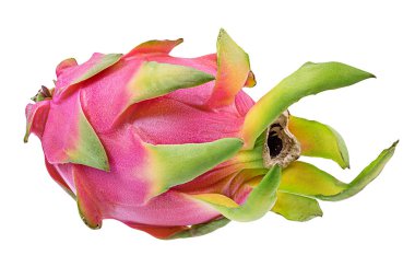 Beyaz arkaplanda Ejder Meyvesi izole