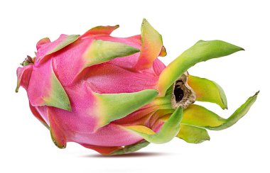 Beyaz arkaplanda Ejder Meyvesi izole