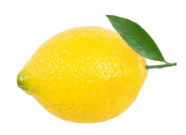 Lemon Isolated White Background — Stock Photo, Image