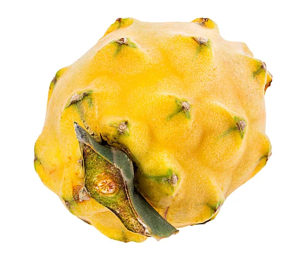 Beyaz arkaplanda Ejder Meyvesi izole