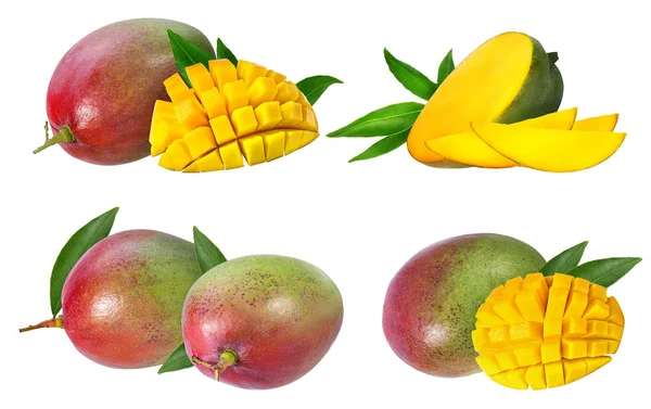 Mangofrucht Isoliert Auf Weißem Hintergrund — Stockfoto