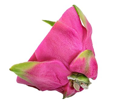 Beyaz arkaplanda Ejder Meyvesi izole