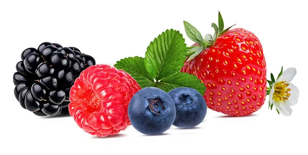 Koleksi Berry Raspberry Strawberry Blueberry Blackberry Diisolasi Atas Putih — Stok Foto