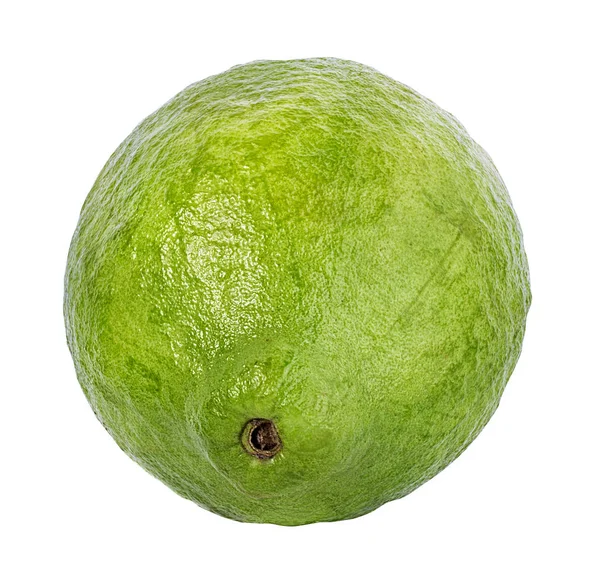 Guava Geïsoleerd Witte Achtergrond — Stockfoto