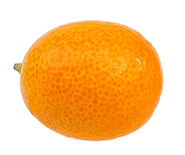 被白色背景隔离的Kumquat — 图库照片