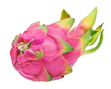 Beyaz arkaplanda Ejder Meyvesi izole