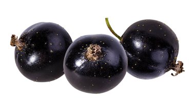 Beyazda siyah frenk üzümü