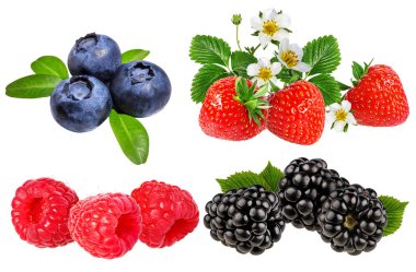 taze çilek beyaz arka plan üzerinde izole topluluğu