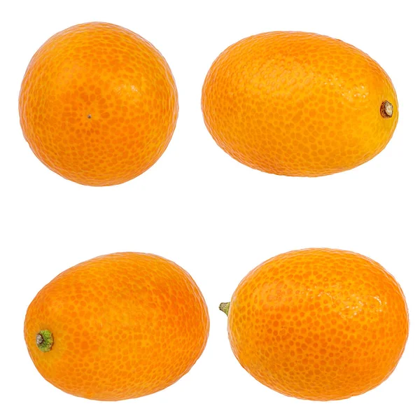 Kumquat Aislado Sobre Fondo Blanco —  Fotos de Stock