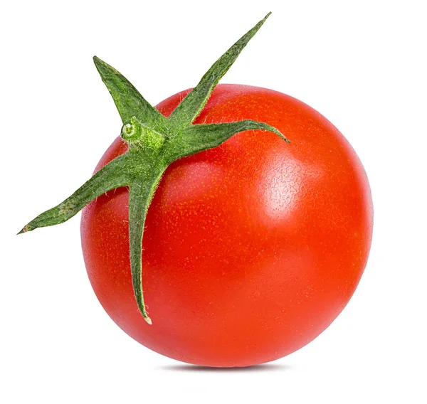 Tomate Isoliert Auf Weißem Hintergrund — Stockfoto