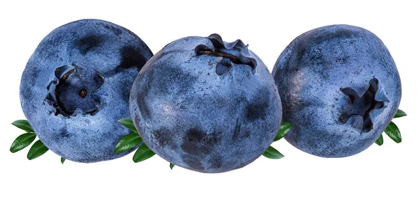 Blueberry Segar Diisolasi Pada Putih Latar Belakang — Stok Foto