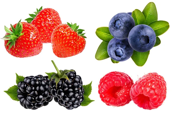 Collection Fresh Berries Isolated White Background — Stock Photo, Image