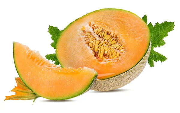 Melon Isolerad Vit Bakgrund — Stockfoto