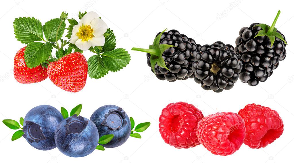 collection of fresh berries isolated on white background