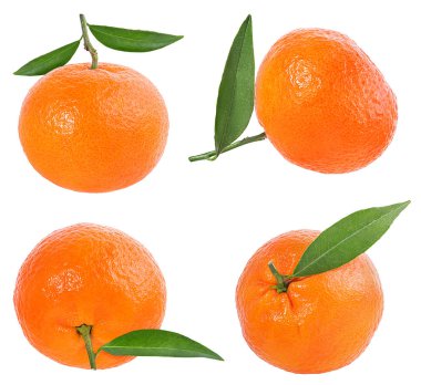 Mandalina ya da mandalina meyvesi beyaz arkaplanda izole