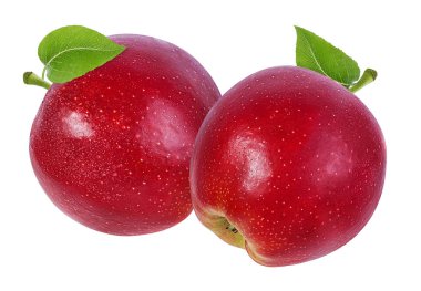 beyaz arkaplanda elma