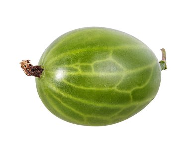 kruisbes geïsoleerd op witte achtergrond