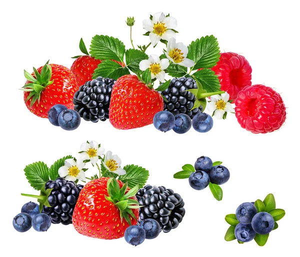 Koleksi Berry Raspberry Blueberry Blackberry Terisolasi Atas Putih — Stok Foto