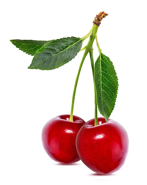 Cherry Dengan Daun Terisolasi Latar Belakang Putih — Stok Foto