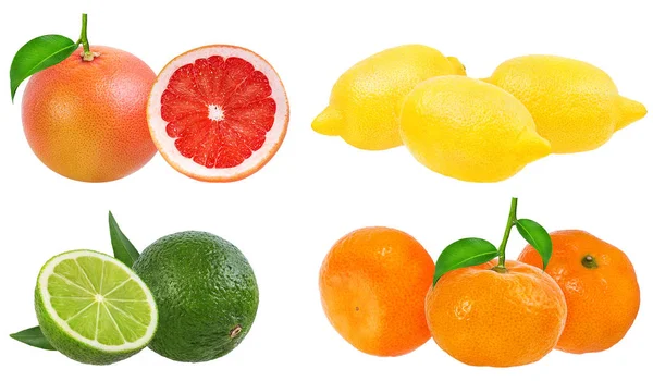 Citrus Fruit Instellen Mandarijn Grapefruit Limoen Citroen Geïsoleerd Witte Achtergrond — Stockfoto