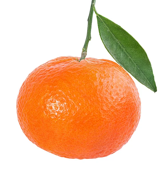 Tangerine Mandarin Fruit Isolated White Background — Stock Photo, Image