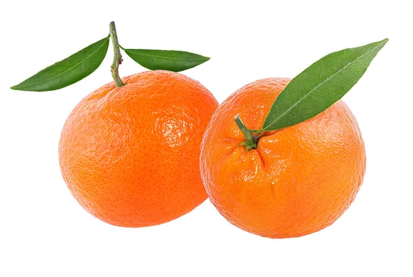 Tangerine Mandarijn Vruchten Geïsoleerd Witte Achtergrond — Stockfoto