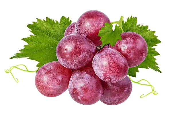 Uvas Frescas Aisladas Sobre Fondo Blanco — Foto de Stock