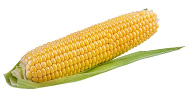 beyaz arkaplanda izole mısır