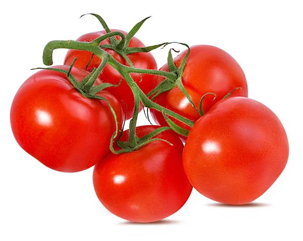 Tomate Aislado Sobre Fondo Blanco — Foto de Stock