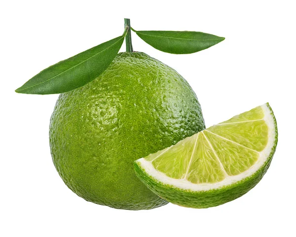 Lime Isolated White Background — Stock Photo, Image