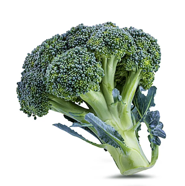 Broccoli Isolated White Background — Stock Photo, Image