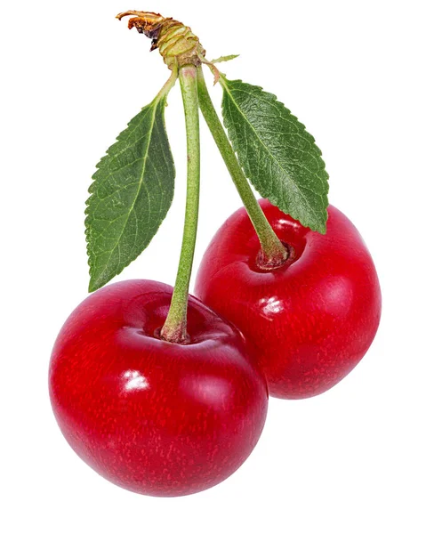 Cherry Dengan Daun Terisolasi Latar Belakang Putih — Stok Foto