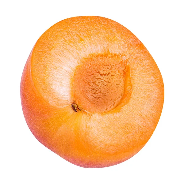 Apricot Isolated White Background — Stock Photo, Image