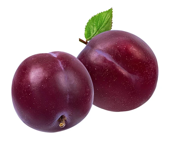 Plum Pada Latar Belakang Putih — Stok Foto