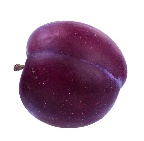 Plum Een Witte Achtergrond — Stockfoto