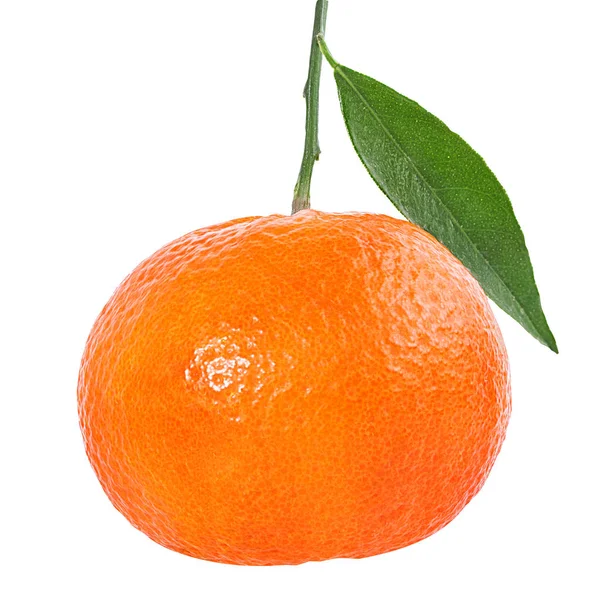 Frutos Mandarina Mandarina Aislados Sobre Fondo Blanco —  Fotos de Stock