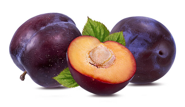 Слива на белом фоне