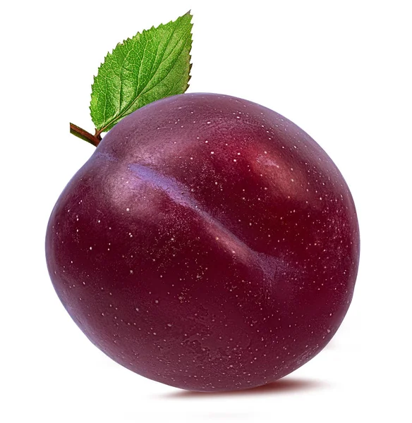 Plum Een Witte Achtergrond — Stockfoto