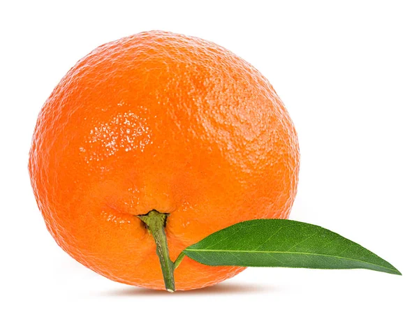 从白色背景分离出来的甜菜或柑橘果 — 图库照片