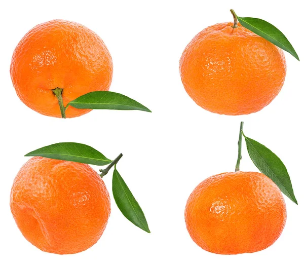 Mandarinen Oder Mandarinenfrucht Isoliert Auf Weißem Hintergrund — Stockfoto