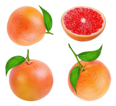 greyfurt beyaz arkaplanda izole