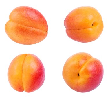 Kayısı beyaz arkaplanda izole edildi