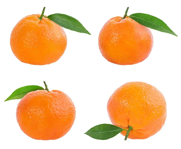 Tangerine Mandarin Fruit Isolated White Background — Stock Photo, Image