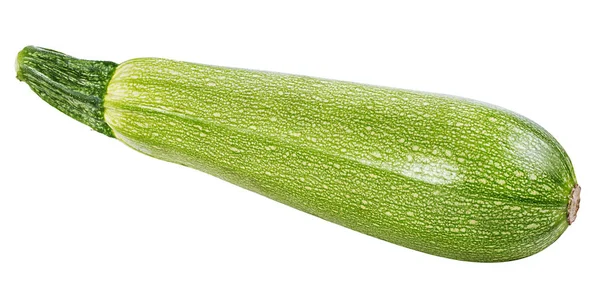白い背景に単離された新鮮な野菜の骨髄 — ストック写真