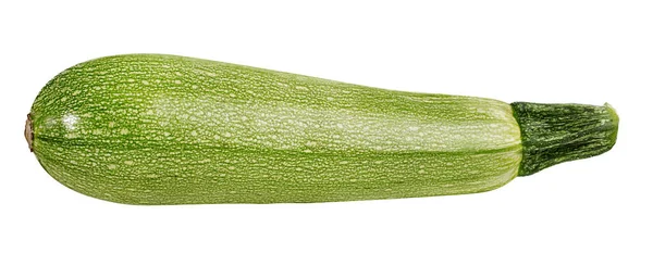 Fresh Vegetable Marrow Isolated White Background — Stock Photo, Image