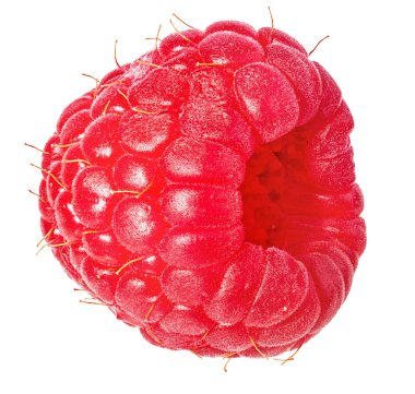 Ahududu beyaz arkaplanda izole edildi