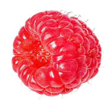 Ahududu beyaz arkaplanda izole edildi