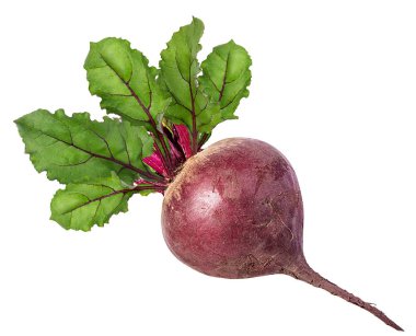 Beyazın üzerinde yaprakları olan pancar.