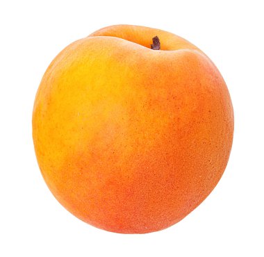 Kayısı beyaz arkaplanda izole edildi