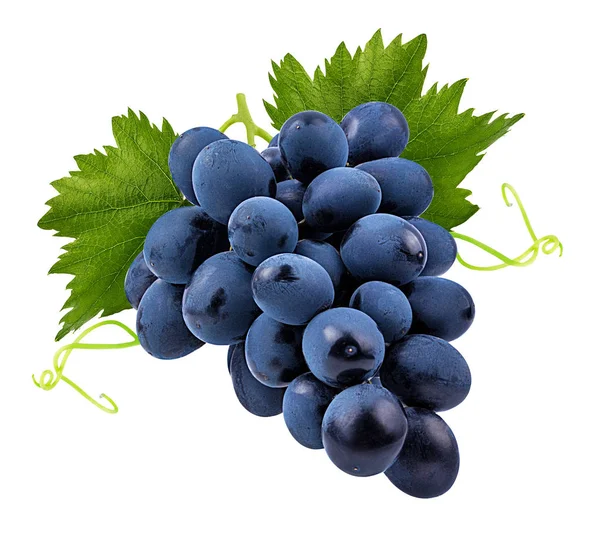 Fresh Grapes Isolated White Background — Stock Photo, Image